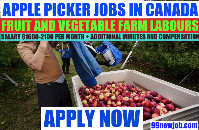 Canada Apple Picker Jobs Vacancy