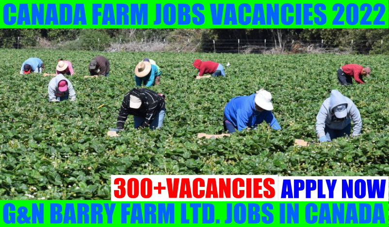 Farm Jobs Vacancies in Canada