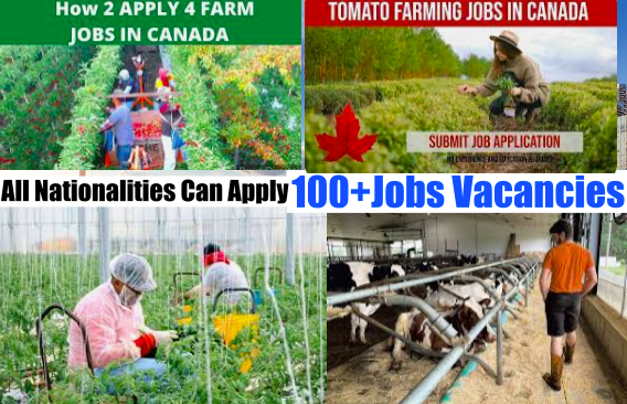 Farm Job Vacancy