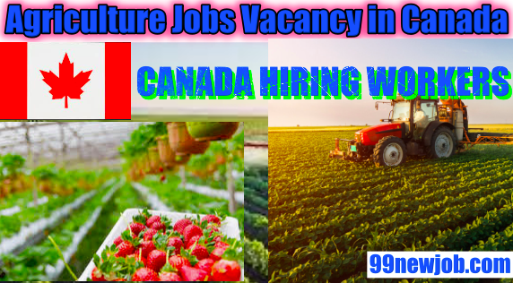 Agriculture Job Vacancy in Canada.