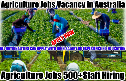 Job Vacancy in Australia