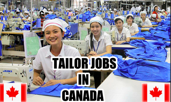 Tailor Job Vacancy 